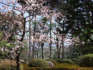 20070305-00.JPG