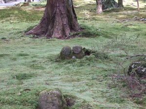 20070305-08.JPG