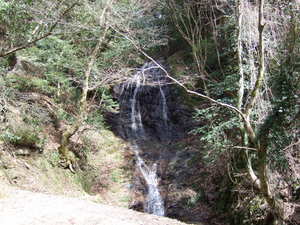20070305-09.JPG