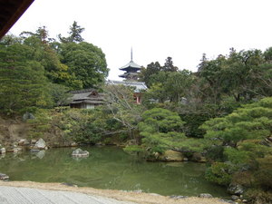 20070305-15.JPG