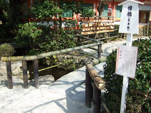 20070305-22.JPG
