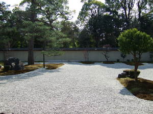 20070305-26.JPG
