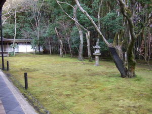 20070305-31.JPG