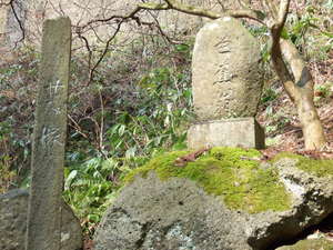 20070410-06.JPG
