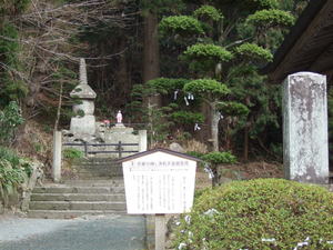 20070410-10.JPG