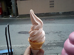 20070410-12.JPG