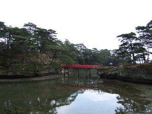 20070410-15.JPG