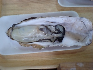 20070410-17.JPG