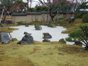 20070410-19.JPG