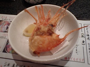 20070410-26.JPG