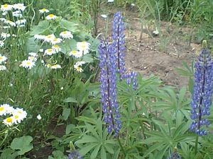 20070626-18.JPG