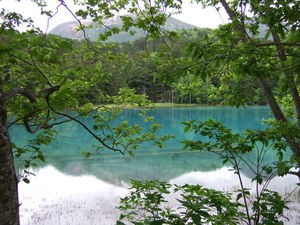 20070626-26.JPG
