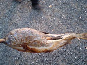 20071029-06.JPG