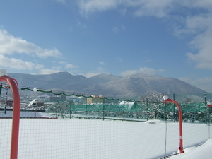 20080121-05.JPG
