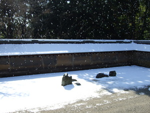 20080211-02.JPG