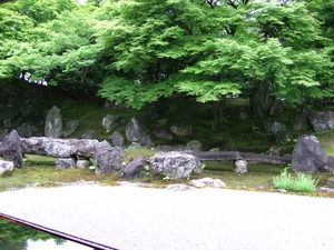 20080507-19.JPG