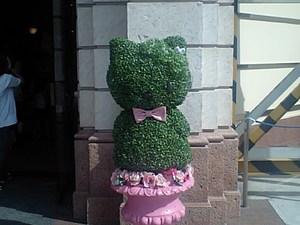 20080823-15.JPG
