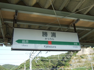 20081103-00.JPG
