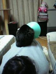 20051215-00.jpg