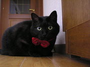 20051223-00.JPG