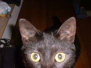 20060207-06.JPG