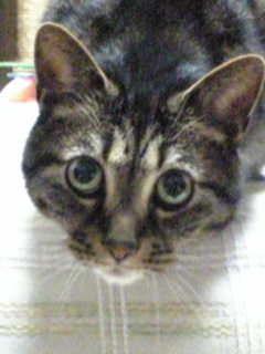 20070223-01.jpg