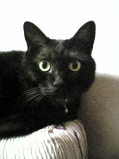 20070227-01.jpg