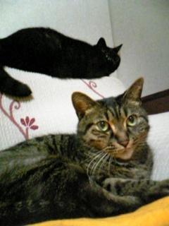 20070227-02.jpg