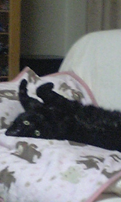 20070509-03.jpg