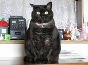 20070514-00.JPG