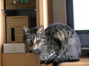 20070514-02.JPG