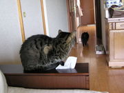 20070514-04.JPG