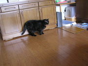 20070514-05.JPG