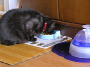 20070514-06.JPG