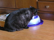 20070514-07.JPG