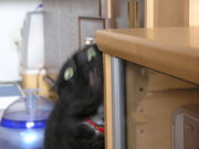 20070514-08.JPG