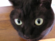20070514-09.JPG
