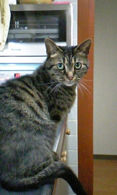 20070516-01.jpg