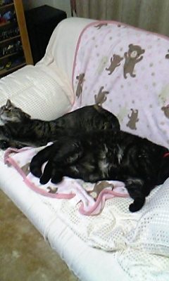 20070516-06.jpg