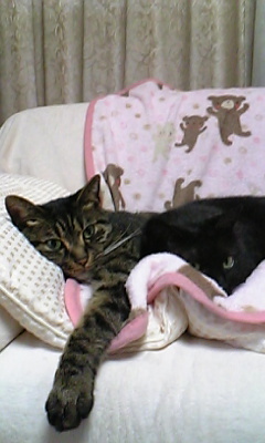 20070516-07.jpg