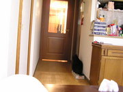 20070517-02.JPG