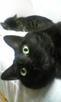 20070521-00.jpg