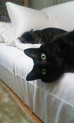 20070521-01.jpg