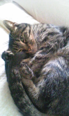 20070521-02.jpg