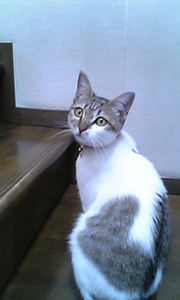 20070522-00.jpg