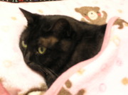 20070528-02.JPG