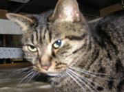 20070528-03.JPG