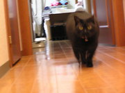 20070601-01.JPG