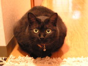 20070601-02.JPG