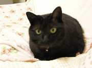 20070601-03.JPG